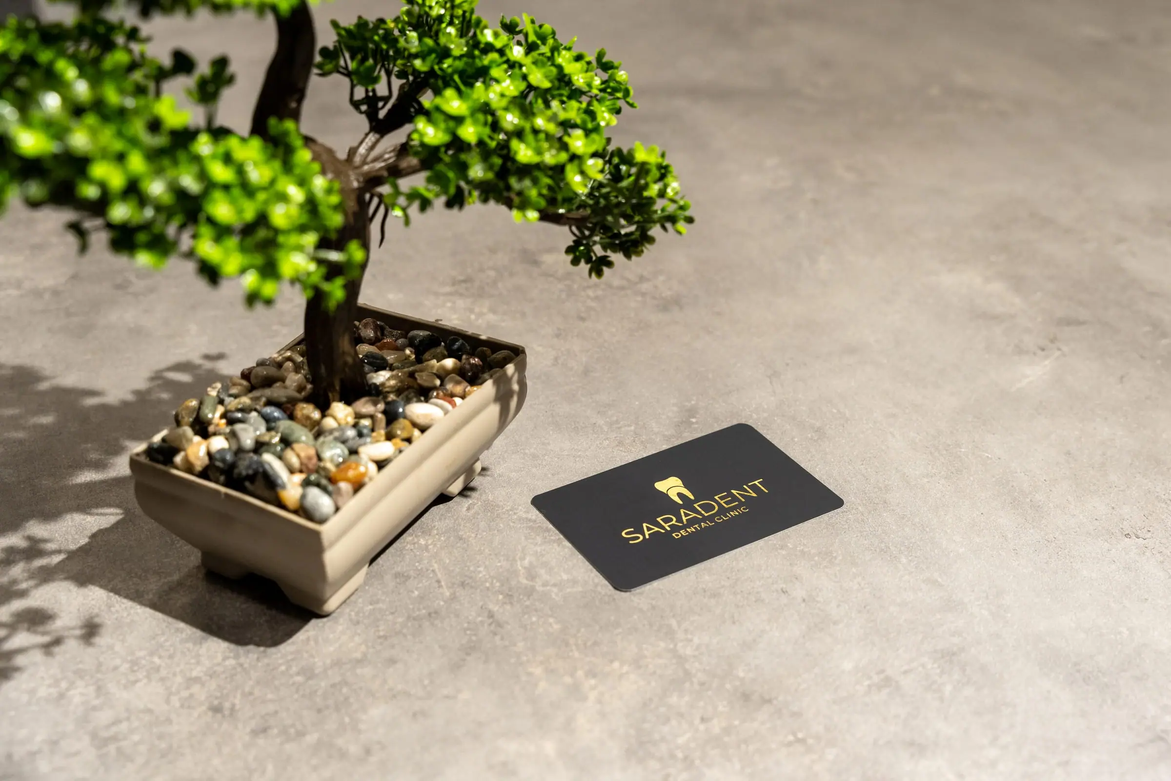 Bonsai i vizitka Saradent na kamenoj podlozi